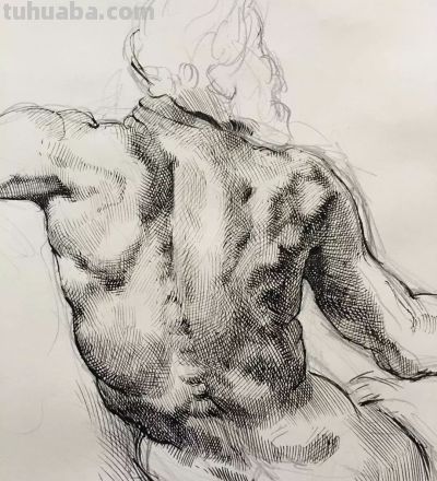好素描，也就是寥寥数笔 - 图画吧TUHUABA