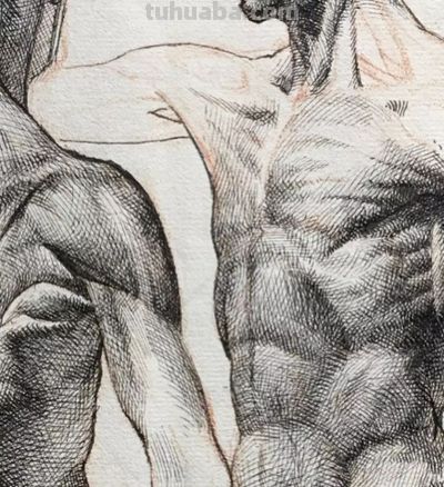 好素描，也就是寥寥数笔 - 图画吧TUHUABA