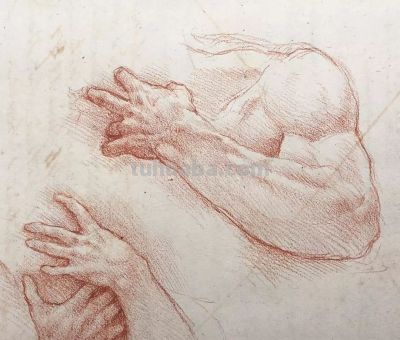 好素描，也就是寥寥数笔 - 图画吧TUHUABA