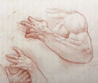 好素描，也就是寥寥数笔 - 图画吧TUHUABA