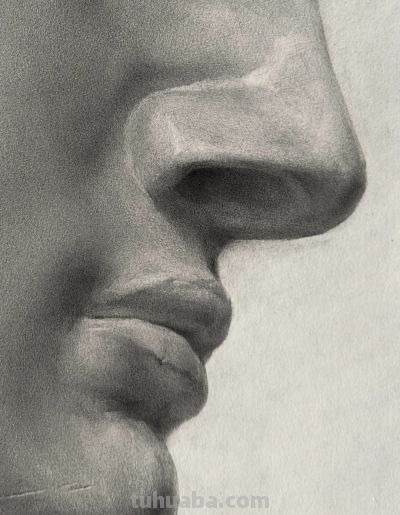 非常细腻真实的大卫石膏像素描，质感太写实，不是照片也不是AI - 图画吧TUHUABA