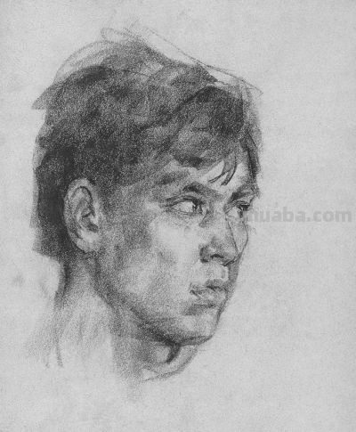 杨飞云素描速写 - 图画吧TUHUABA