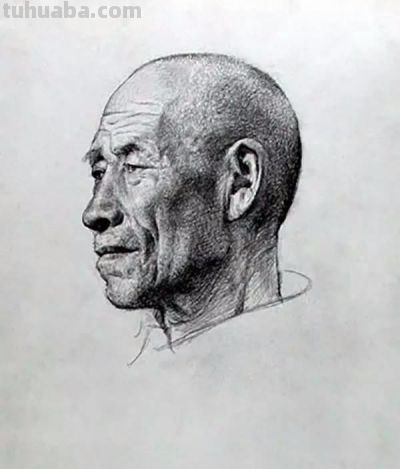 杨飞云素描速写 - 图画吧TUHUABA