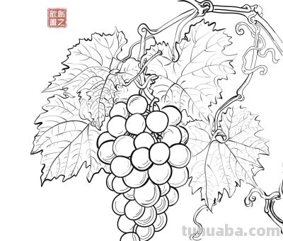 素描速写绘画｜绘尽万物，神韵自来 - 图画吧TUHUABA