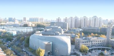 美术生必看！素描、速写、色彩到底哪个更易提分？3分钟理清思路