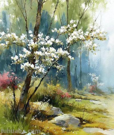 森林小径、水彩风景 - 图画吧TUHUABA