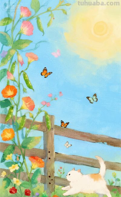 水彩插画：乡村田园风格，猫咪与蝴蝶嬉闹治愈感！ - 图画吧TUHUABA