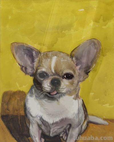 常海军动物系列：以水彩捕捉生灵微光 - 今日头条