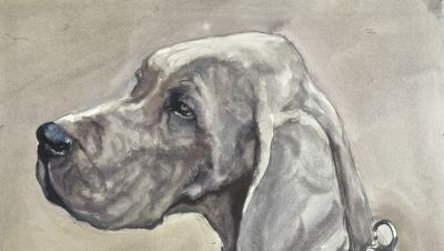 常海军动物系列：以水彩捕捉生灵微光 - 图画吧TUHUABA