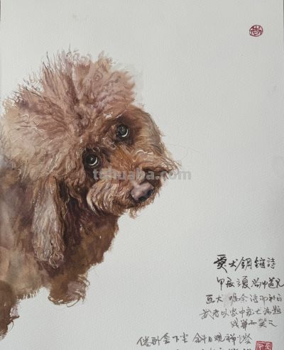常海军动物系列：以水彩捕捉生灵微光 - 图画吧TUHUABA