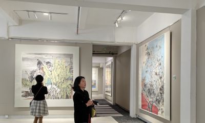 当国画遇上水彩，她笔下的禽鸟会“呼吸” - 图画吧TUHUABA