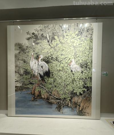 当国画遇上水彩，她笔下的禽鸟会“呼吸” - 图画吧TUHUABA