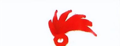 韩美林动物画法：怎样画鸡 - 图画吧TUHUABA