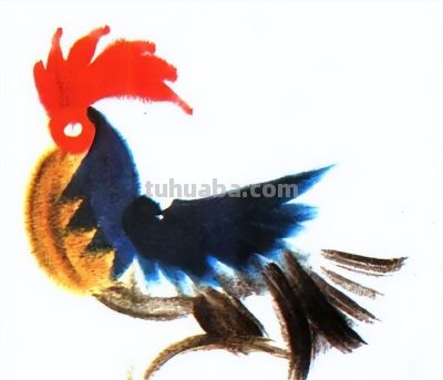 韩美林动物画法：怎样画鸡 - 图画吧TUHUABA