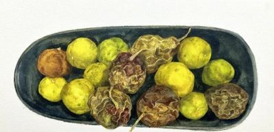 水色光阴 | 云艺水彩课程作品回顾 - 图画吧TUHUABA