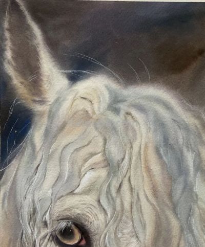 水色光阴 | 云艺水彩课程作品回顾 - 图画吧TUHUABA