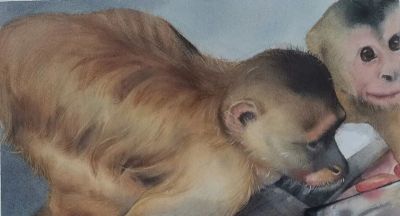 水色光阴 | 云艺水彩课程作品回顾 - 图画吧TUHUABA