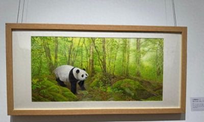 沈阳：用水彩绘本艺术之美唤醒人们对自然的敬畏和向往