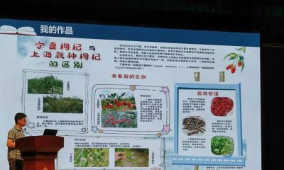 如何用科学绘画描述大自然的美？这场“自然笔记”探究活动让孩子在创新中成长 - 图画吧TUHUABA