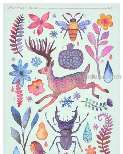 一组奇异自然生物水彩 手绘作品