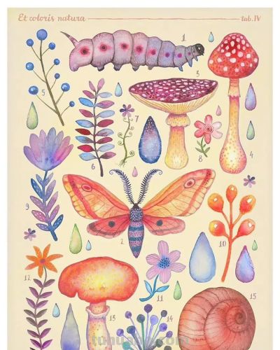 一组奇异自然生物水彩 手绘作品 - 图画吧TUHUABA