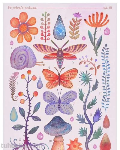 一组奇异自然生物水彩 手绘作品 - 图画吧TUHUABA