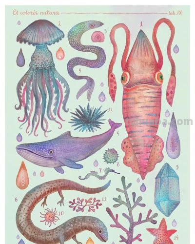 一组奇异自然生物水彩 手绘作品 - 图画吧TUHUABA