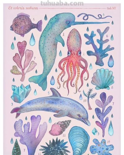 一组奇异自然生物水彩 手绘作品 - 图画吧TUHUABA