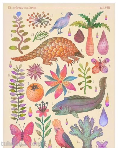 一组奇异自然生物水彩 手绘作品 - 图画吧TUHUABA