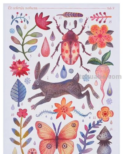一组奇异自然生物水彩 手绘作品 - 图画吧TUHUABA