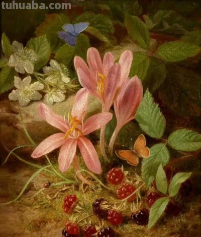 约瑟夫·劳尔笔下的静物花卉花 - 今日头条 约瑟夫·劳尔笔下的静物花卉花 - 图画吧TUHUABA