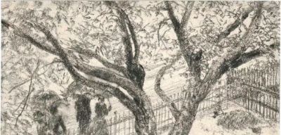 门采尔素描作品