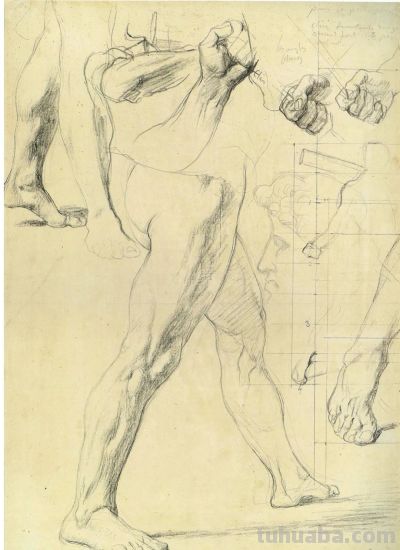 大师经典速写 131幅 - 图画吧TUHUABA