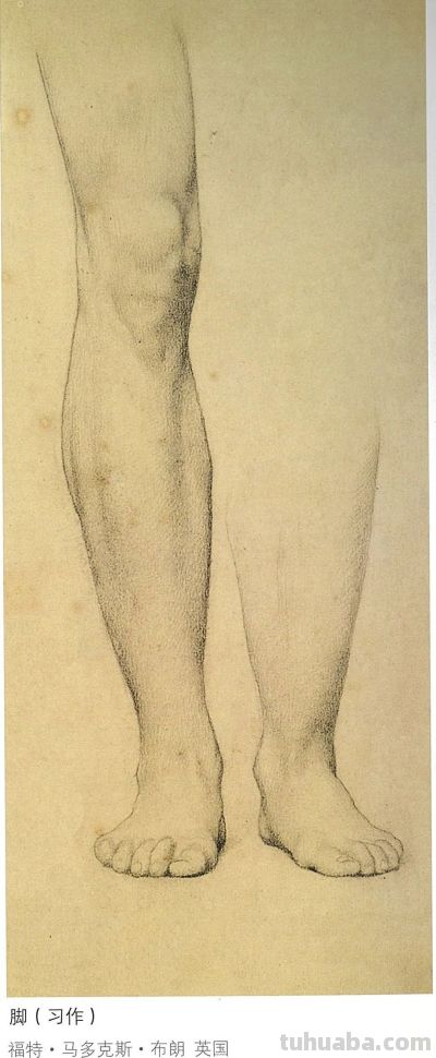 大师经典速写 131幅 - 图画吧TUHUABA