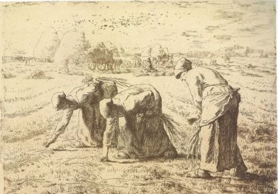 大师经典速写 131幅 - 图画吧TUHUABA