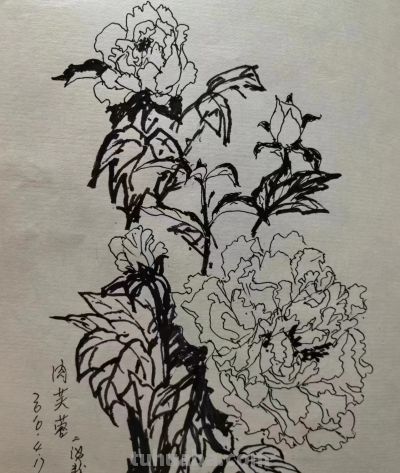 叶海京 —— 人物、花卉 速写作品欣赏 - 叶海京 —— 人物、花卉 速写作品欣赏 - 图画吧TUHUABA