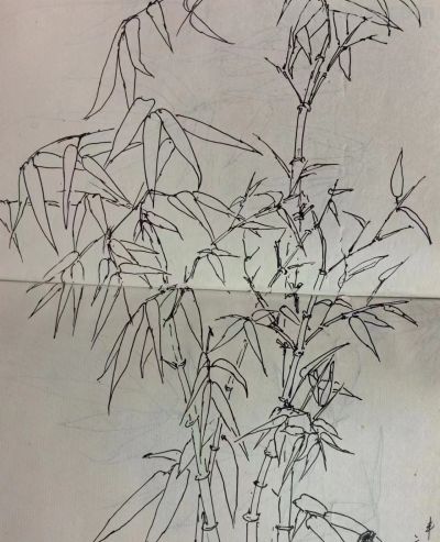 叶海京 —— 人物、花卉 速写作品欣赏 - 叶海京 —— 人物、花卉 速写作品欣赏 - 图画吧TUHUABA