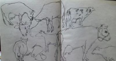 叶海京 —— 人物、花卉 速写作品欣赏 - 叶海京 —— 人物、花卉 速写作品欣赏 - 图画吧TUHUABA