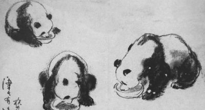 中国美术学院教授顾生岳速写作品欣赏~ - 图画吧TUHUABA