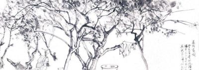 王磐德速写作品欣赏（三）：美丽家园