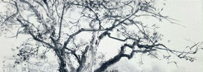 王磐德速写作品欣赏（九）：柳江之晨