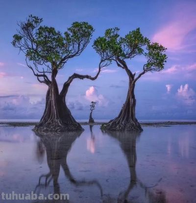 摄影大佬私藏!6大技巧,普通人也能拍出“封神”大片 - 摄影大佬私藏!6大技巧,普通人也能拍出“封神”大片 - 图画吧TUHUABA