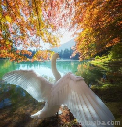 摄影大佬私藏!6大技巧,普通人也能拍出“封神”大片 - 摄影大佬私藏!6大技巧,普通人也能拍出“封神”大片 - 图画吧TUHUABA