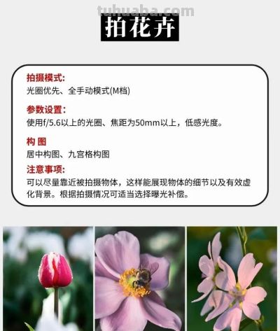 9种摄影技巧全攻略,新手也能快速上手! - 9种摄影技巧全攻略,新手也能快速上手! - 图画吧TUHUABA