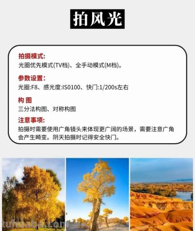 9种摄影技巧全攻略,新手也能快速上手! - 9种摄影技巧全攻略,新手也能快速上手! - 图画吧TUHUABA