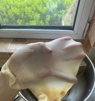 仅仅是搞懂这几个面食原理，我“突然”发现做面食0失败并不难 - 图画吧TUHUABA
