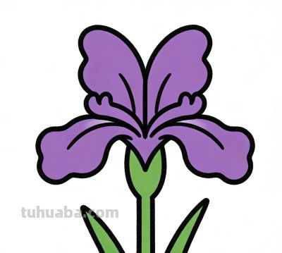 又小又可爱的简笔画 - 图画吧TUHUABA