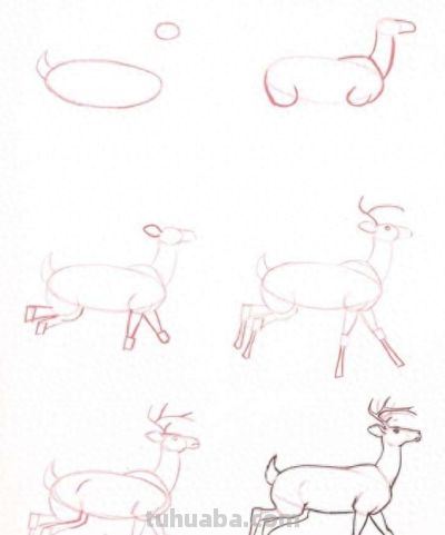 20种动物的简笔画教程，有手就能画