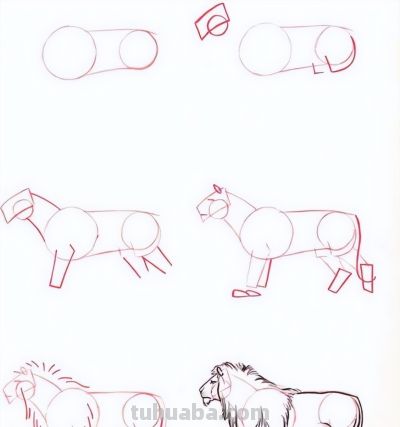 20种动物的简笔画教程，有手就能画 - 图画吧TUHUABA