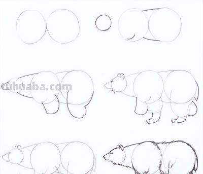 20种动物的简笔画教程，有手就能画 - 图画吧TUHUABA